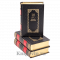 Библиотека приключений. Собрание в 43 томах. Подарочные книги в кожаном переплете