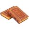 Maclay - Travel to New Guinea. Gift books bound in leather.