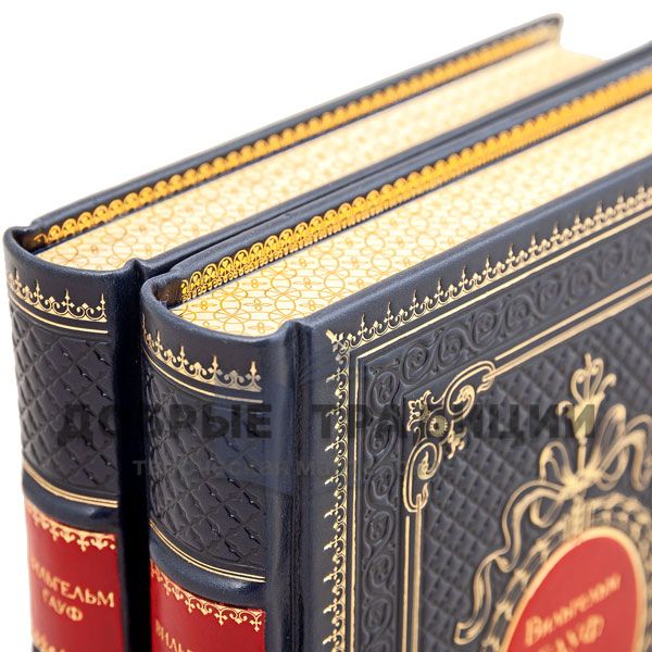 Wilhelm Hauff. Tales in 2 volumes. Gift books bound in leather.