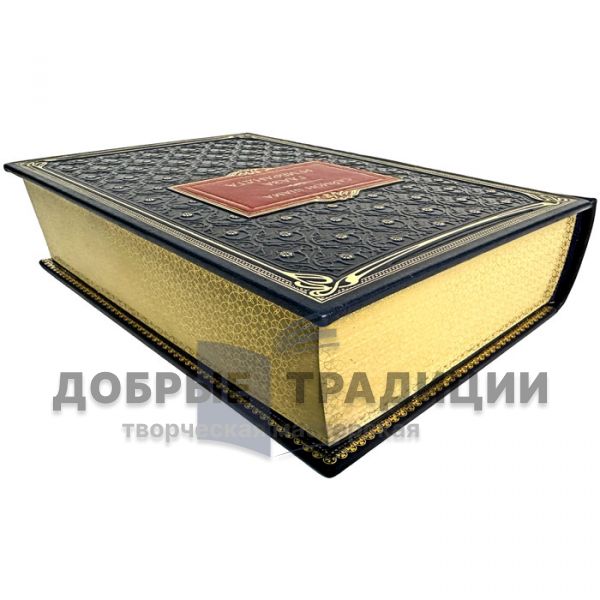 Simon Schama - Rembrandt's Eyes. Gift book bound in leather