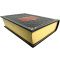 Simon Schama - Rembrandt's Eyes. Gift book bound in leather