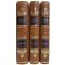 Ivan Ilyin - Favorites in 3 volumes. Gift books bound in leather