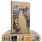 Reynolds Price - Collection in 2 volumes. Gift books bound in leather