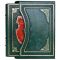 Karl von Clausewitz - About the War in 2 volumes. Gift books bound in leather