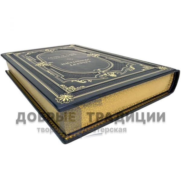 Albert Einstein - How to change the world for the better. A gift book in a leather cover