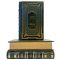 James Patrick Dunleavy - Collected works in 3 volumes. Leather-bound books