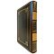 Dmitry Mendeleev - Cherished thoughts. A leather-bound gift book