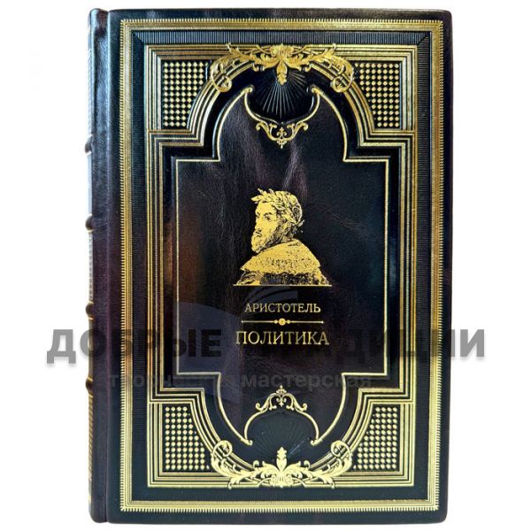 Aristotle is A Politician. A leather-bound gift book
