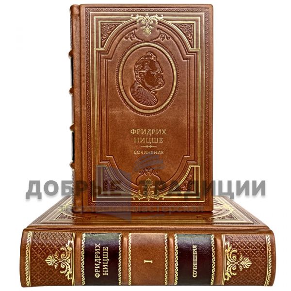 Friedrich Nietzsche-Essays in 2 books. Gift books bound in genuine leather