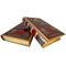 Valentin Pikul – The Favorite (A Novel in 2 Volumes). Exclusive books in leather binding