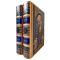 Valentin Pikul – The Favorite (A Novel in 2 Volumes). Exclusive books in leather binding