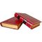 Ken Follett – World Without End in 2 volumes. Gift books in leather binding