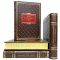 Fyodor Dostoevsky - Collection in 4 volumes. Gift books bound in leather