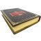 Fyodor Dostoevsky - Crime and Punishment in English. Gift book bound in leather