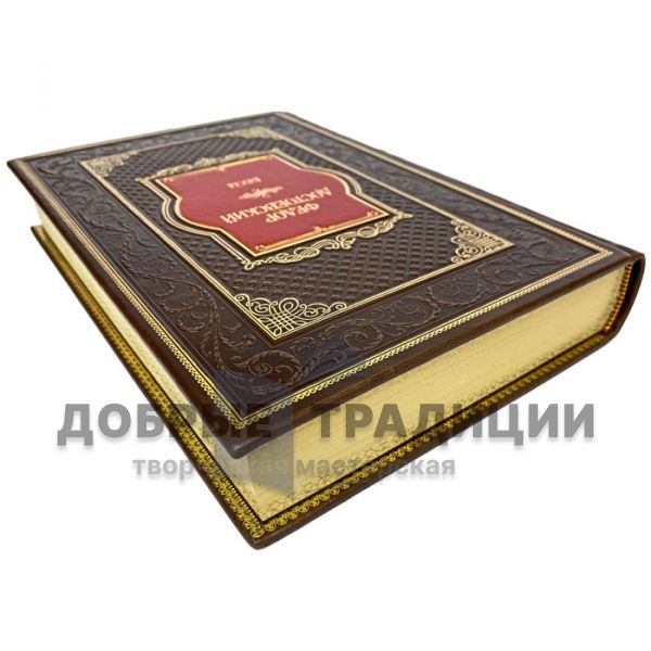 Fyodor Dostoevsky Is An Idiot. Gift book bound in leather