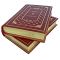 Джеймс Клавелл - Тайпан в 2 томах. Подарочные книги в кожаном переплёте.