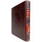 The history of Russian painting. Gift book bound in leather