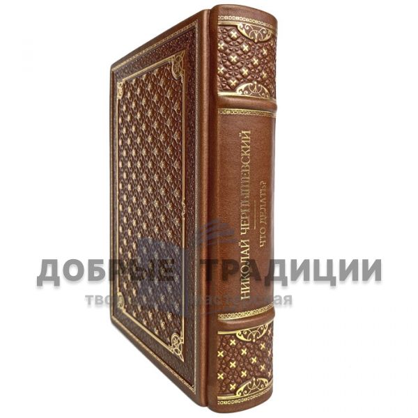 Nikolai Chernyshevsky - What to do? Gift book bound in leather