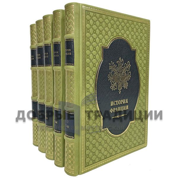 The History Of France. In 3 volumes (in 5 books). Deluxe edition