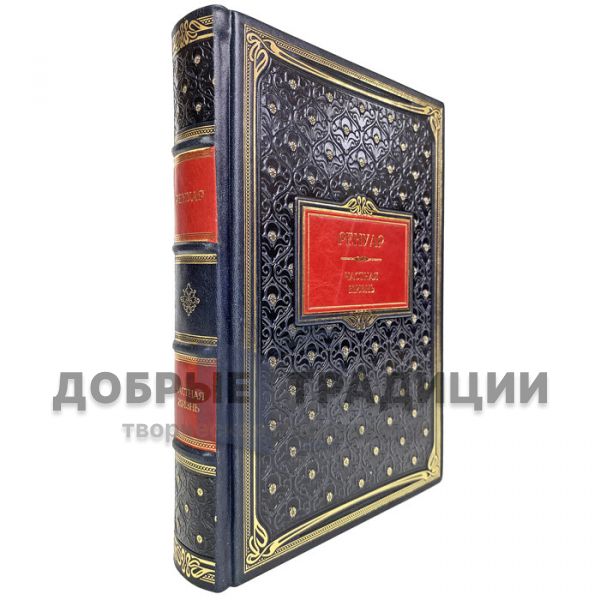 Barbara Ehrlich-White-Renoir. Private life. Gift book bound in leather