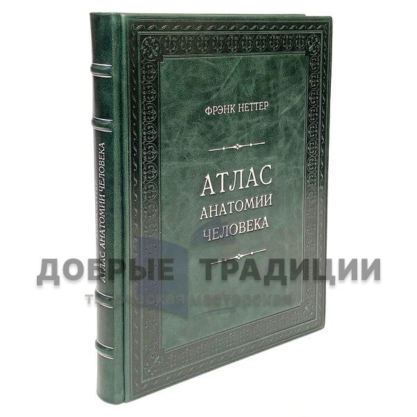 Атлас анатомии человека. Фрэнк Неттер. Подарочная книга в кожаном переплёте