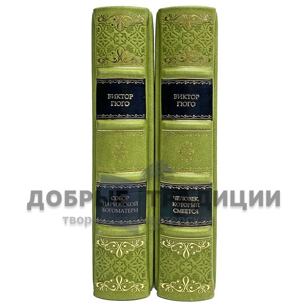 Victor Hugo. Collection in 2 volumes. Gift books bound in leather