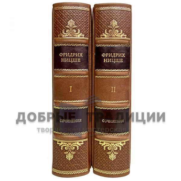 Friedrich Nietzsche-Essays in 2 books. Gift books bound in genuine leather