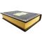 Alfred Rosenberg - Political Diary. Gift book bound in leather