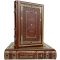 Leo Tolstoy - Anna Karenina (2 volumes). Gift books bound in leather