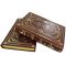 Gustave Lebon - Collection in 2 volumes. Gift books bound in leather
