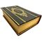 Arthur Schopenhauer - Aphorisms of worldly wisdom. A leather-bound gift book