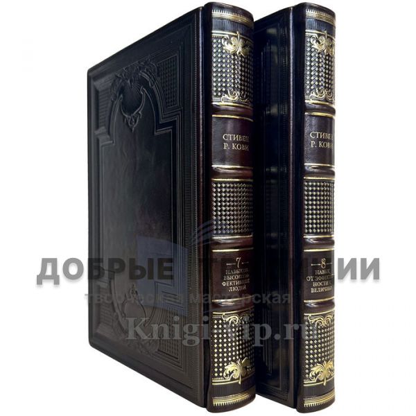 Stephen Covey - Collection in 2 volumes (Seven Skills of highly effective People. The eighth skill). Leather-bound gift books in a gift case